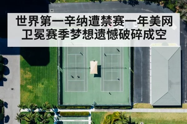 世界第一辛纳遭禁赛一年美网卫冕赛季梦想遗憾破碎成空