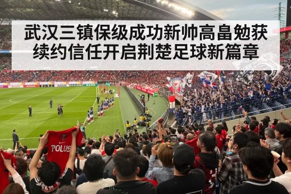 football stadium fans
