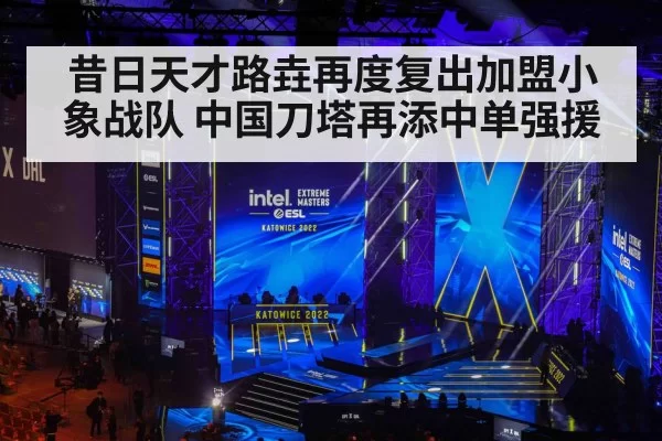 昔日天才路垚再度复出加盟小象战队 中国刀塔再添中单强援